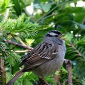Foto de Doris Stackhouse