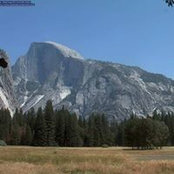 Carla Lynch's photo