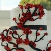 Married Ldy's photo