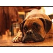 Jessica Estes's photo