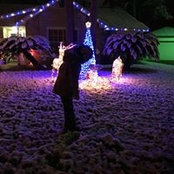 Samantha Brecher's photo