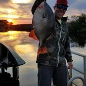 Steve Mathews's photo
