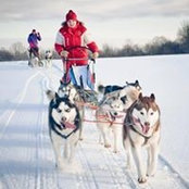 Вера Богданова's photo