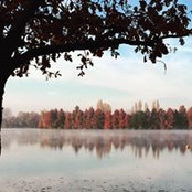 Elena Cavallaro's photo