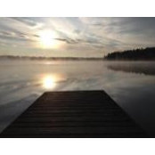 Tyler Schultz's photo