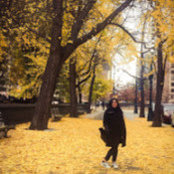 prateeksha kさんの写真