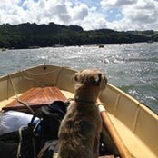 Sara Davies's photo