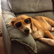 Gail Kregel's photo