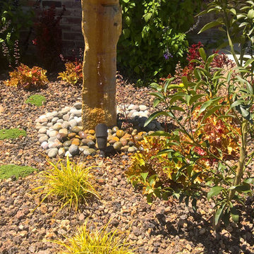 Edible Garden with Whimsy - Lawn removal project