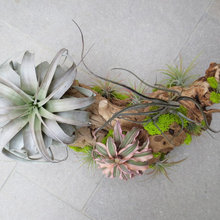 indoor