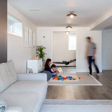 Magnolia Basement Remodel