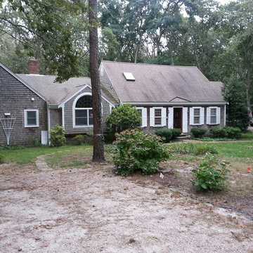 Complete yard renovation