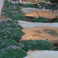 stepping stones
