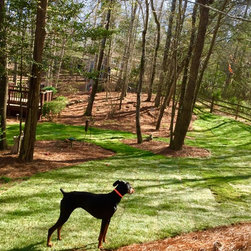 Fescue - Products