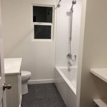 Spacious Guest Bathroom after Remodeling