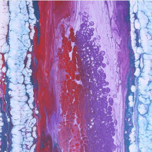 Art in your home