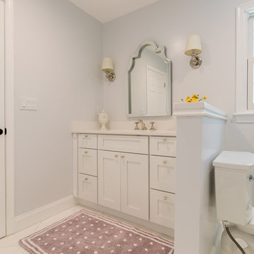 Kitchen and Bathroom remodeling in Vienna, 22181