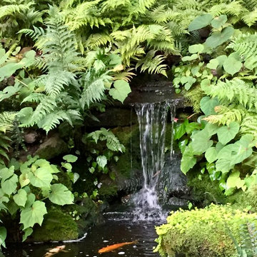 Woodland garden 1