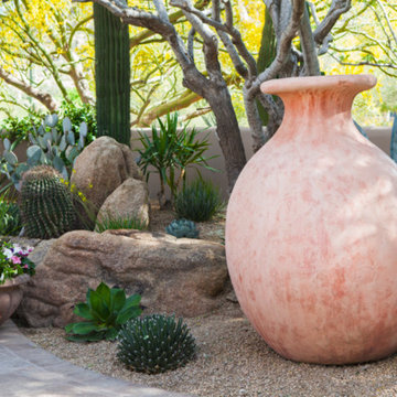 Desert Landscapes