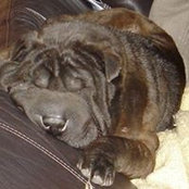 Rueben Goochs foto