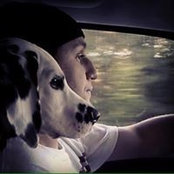 Joshua Costantino's photo
