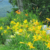 Carolyn Gray's photo