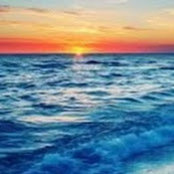 Sonia Garcia's photo