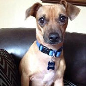 Pearl Celli's photo