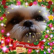 Barbara Clason West's photo