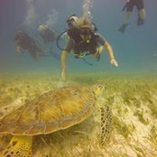 Aida Ziupkaite's photo