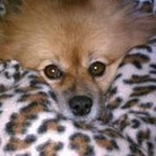 Becky Sanchez's photo