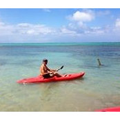 Jorge Ortiz Sanchez's photo