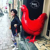 Foto von Alison Marshall