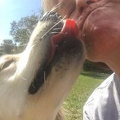 Wendy LeBolt's photo