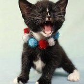 Rhonda Volpe's photo