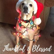 Sheila Stecyk's photo