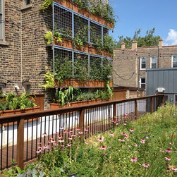 Omni Green Roof - Products