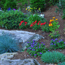Landscape Ideas