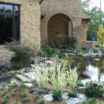 Koi Pond Pre Growth