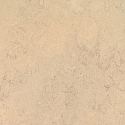 Forbo - Forbo Marmoleum Real, Calico - 2713 - Flooring