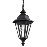 Generation Lighting Collection - Sea Gull Lighting 1-Light Outdoor Pendant, Black - Blubs Not Included