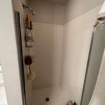 Upcoming Master Bathroom in Farmington Hills