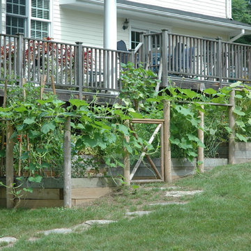 Vegetable Garden on a Slope