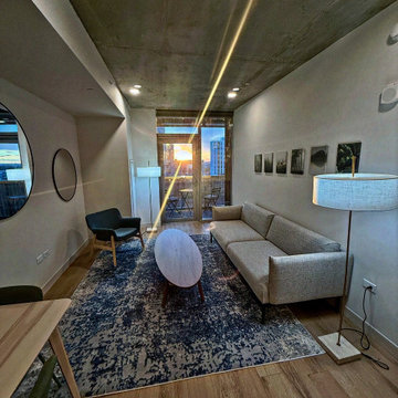 A Design Blitz Miracle — Sol Modern, Phoenix, Arizona.