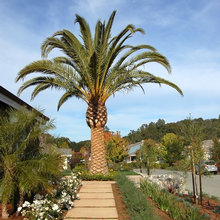Landscape Ideas