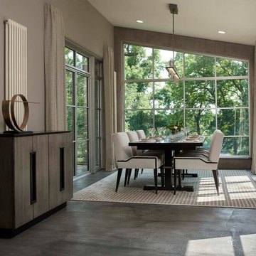 Mid-Century modern renovation