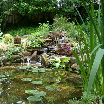 Ecosystem Ponds, Water Garden Ideas for Your Austin, Central Texas Landscape