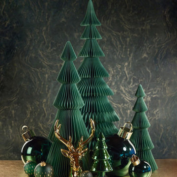 Magical Pine Grove