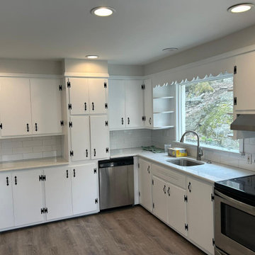 Transitional Kitchen - Cabinet Painting & Refinish