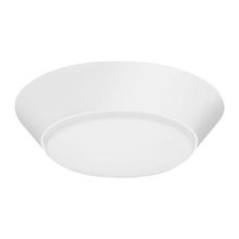 The Nest-Lighting and Electrical